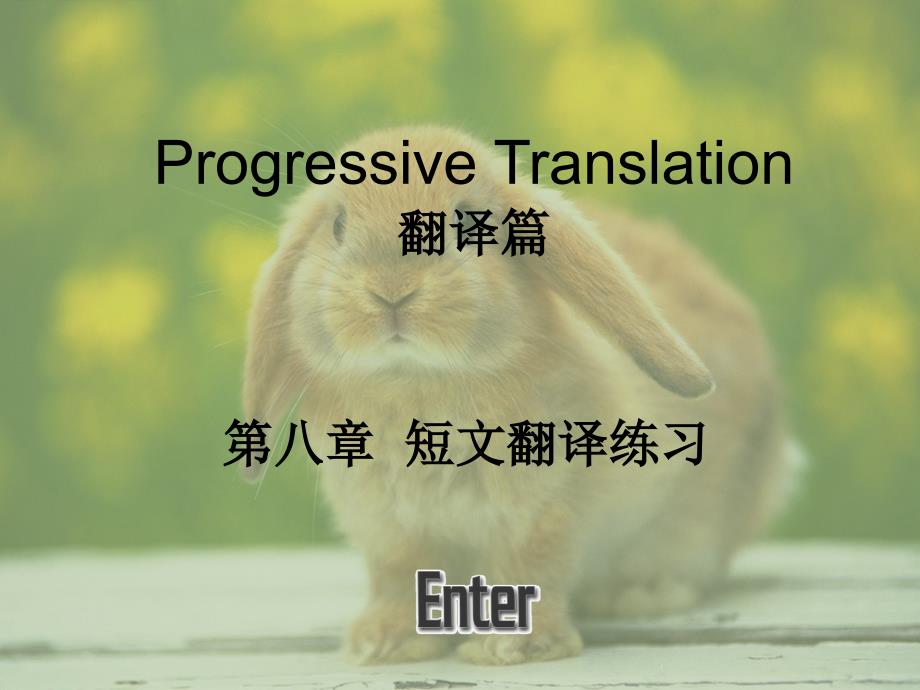 翻译篇短文翻译练习_第1页