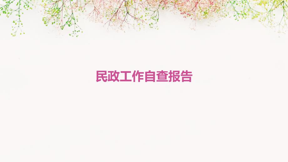 民政工作自查报告PPT演稿_第1页