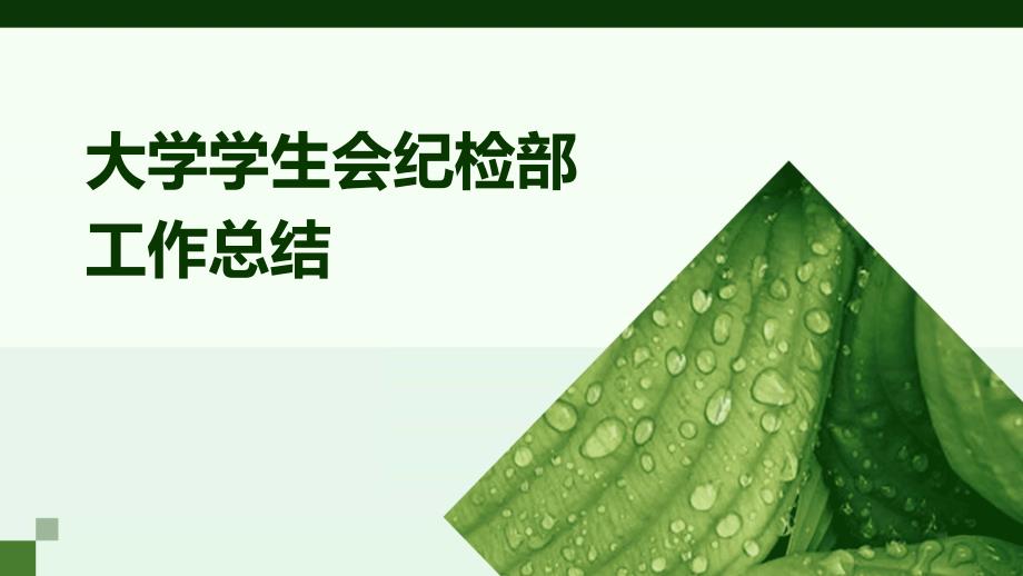 大学学生会纪检部工作总结PPT演稿_第1页