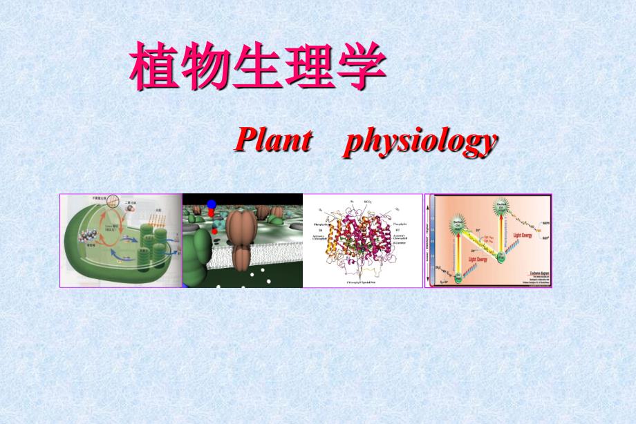 植物生理学之激素_第1页
