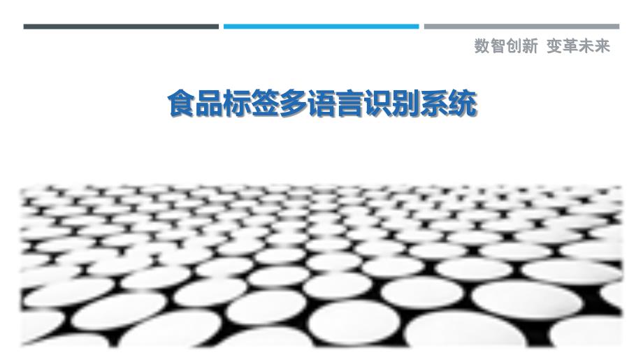 食品标签多语言识别系统-详解洞察_第1页