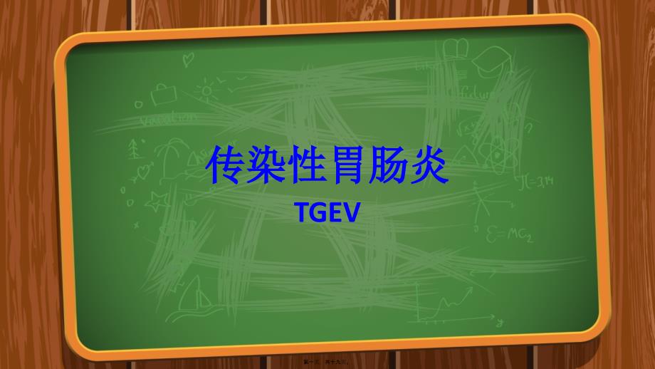 传染性胃肠炎TGEV_第1页