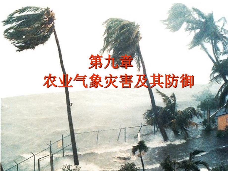 农业气象灾害及其防御_第1页