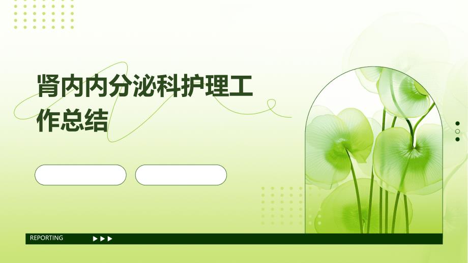 肾内内分泌科护理工作总结PPT_第1页