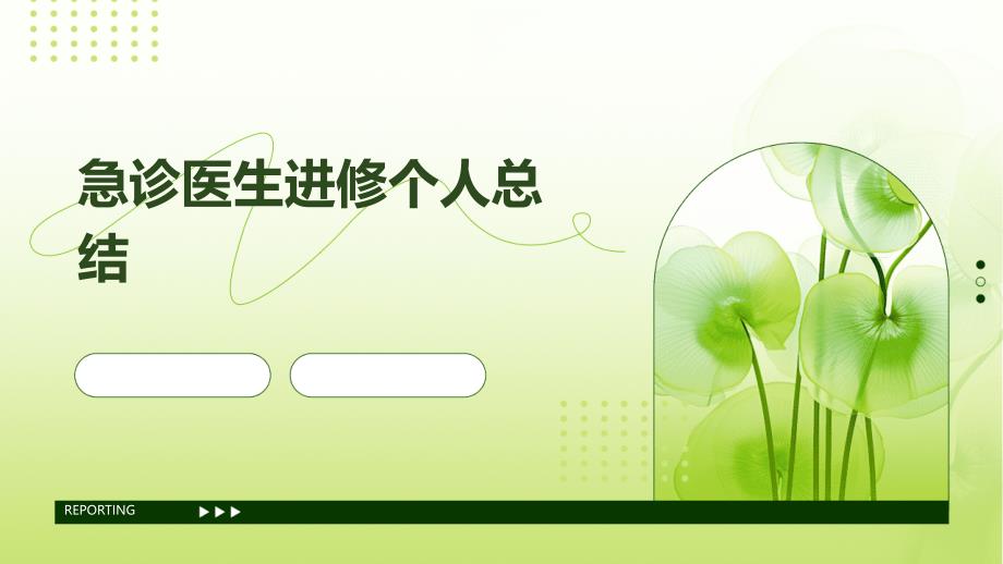 急诊医生进修个人总结PPT_第1页