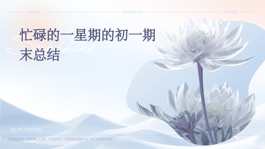 忙碌的一星期的初一期末总结PPT_第1页