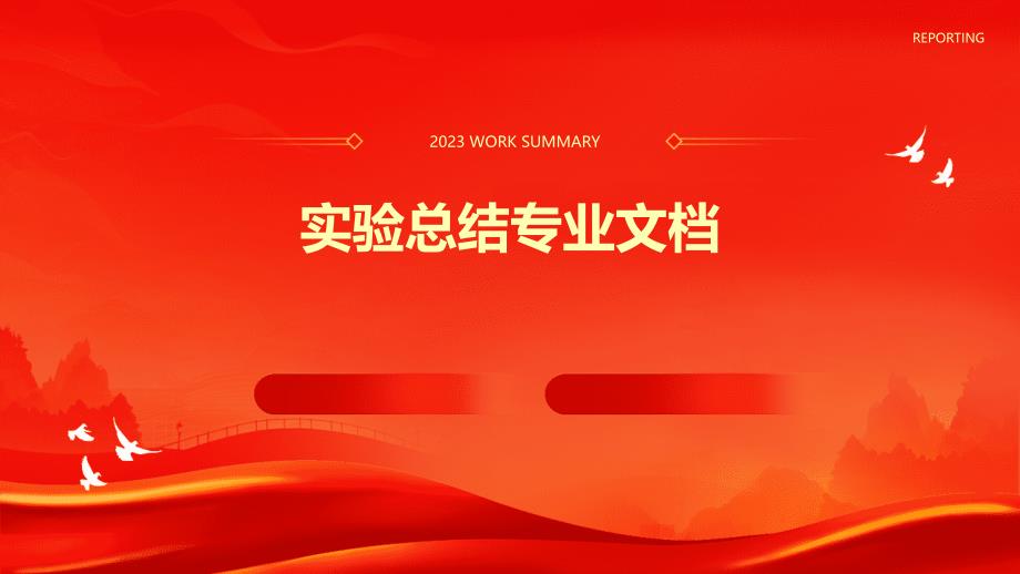 实验总结专业文档PPT_第1页