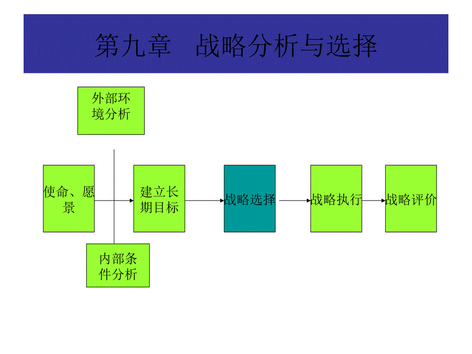 战略分析与选择培训课程_第1页