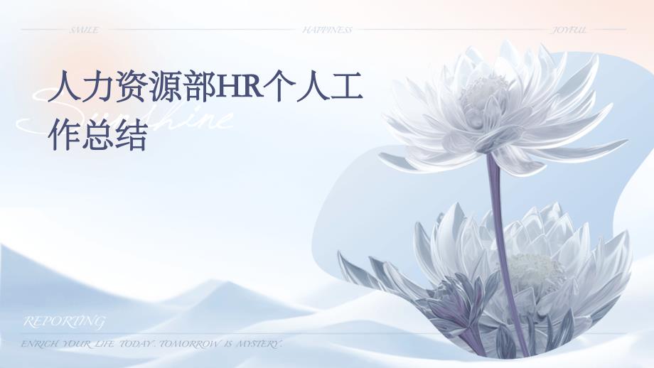 人力资源部HR个人工作总结PPT_第1页