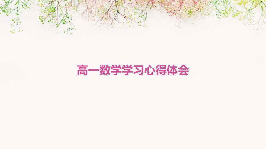 高一数学学习心得体会PPT_第1页