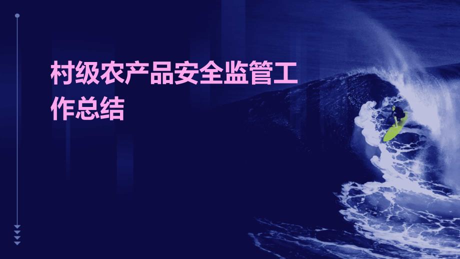 村级农产品安全监管工作总结PPT_第1页