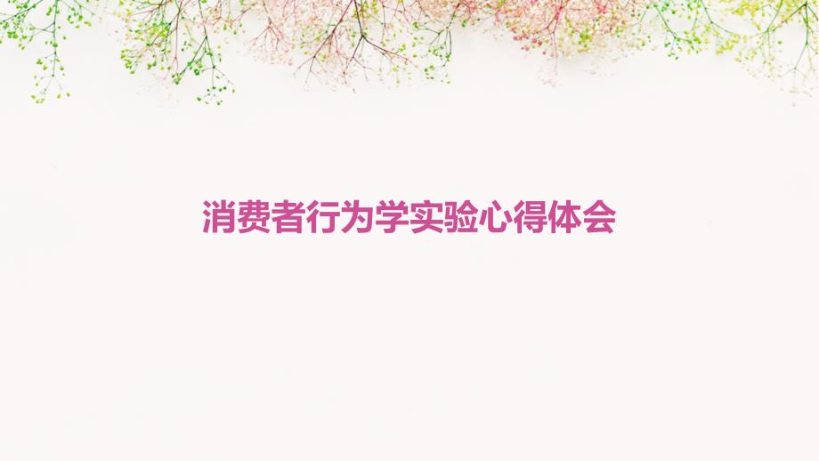 消费者行为学实验心得体会PPT_第1页