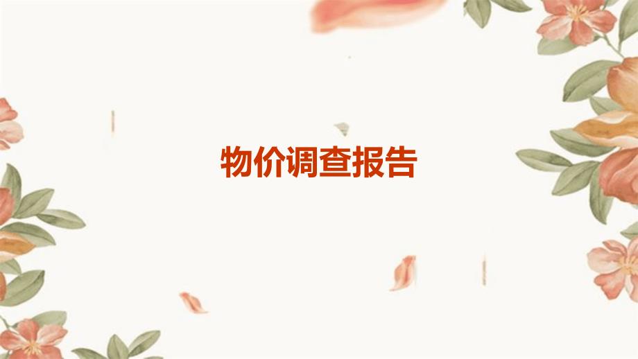 物价调查报告PPT_第1页