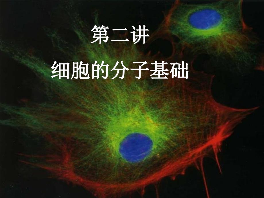 《细胞生物》课件第2章细胞的概念和分子基础2_第1页
