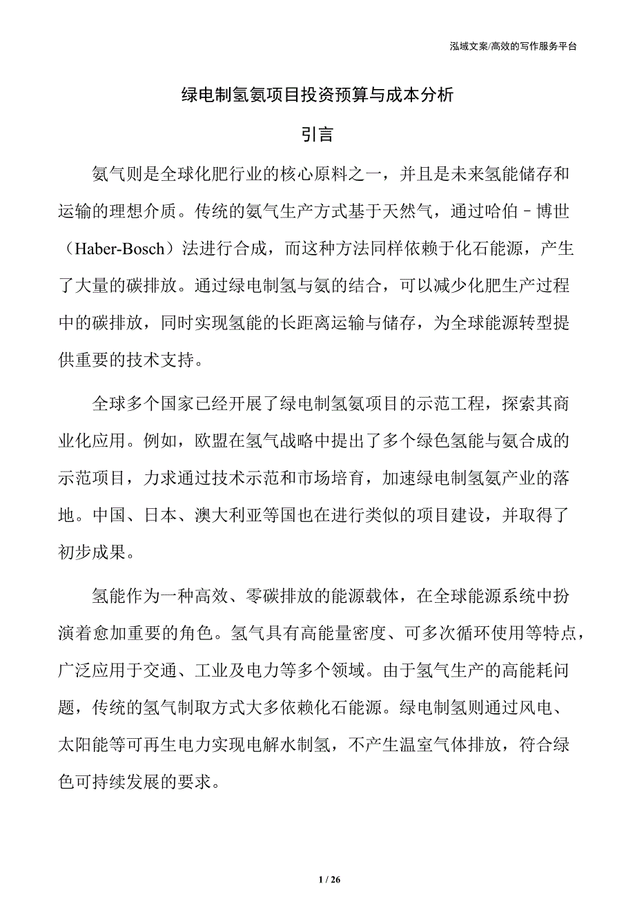 绿电制氢氨项目投资预算与成本分析_第1页
