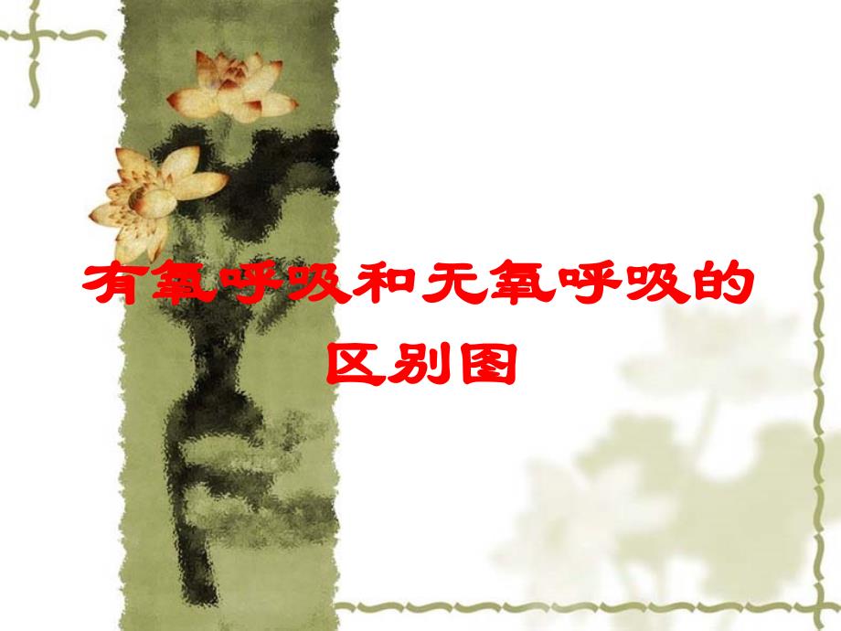 有氧呼吸和无氧呼吸的区别图培训课件_第1页