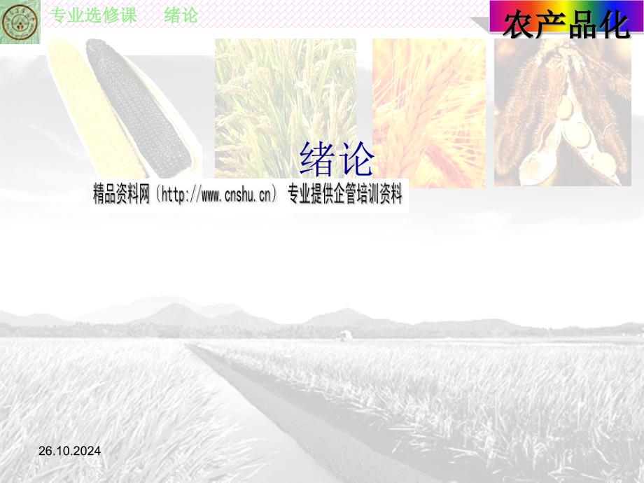 生物质化学品与农产品_第1页