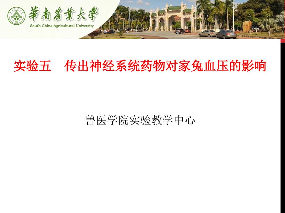 《兽医药理学实验》_第1页