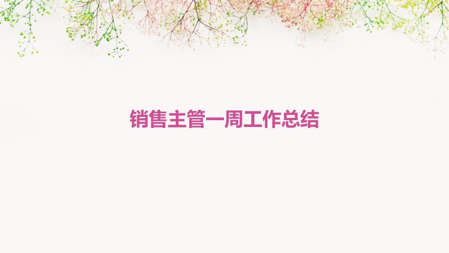 销售主管一周工作总结PPT_第1页