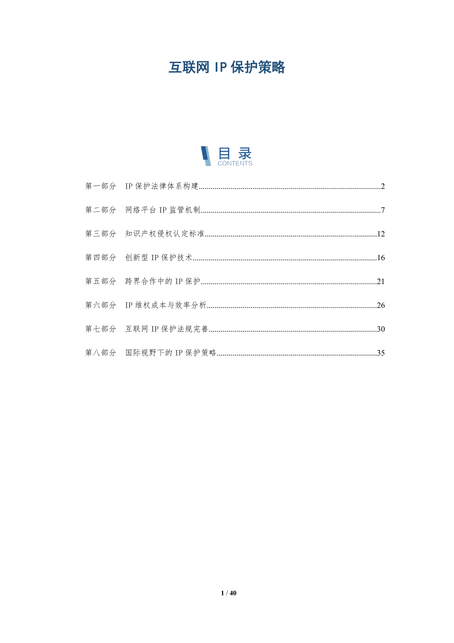 互联网IP保护策略-全面剖析_第1页