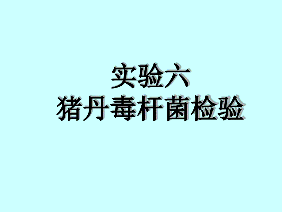 猪丹毒杆菌的检验课件_第1页