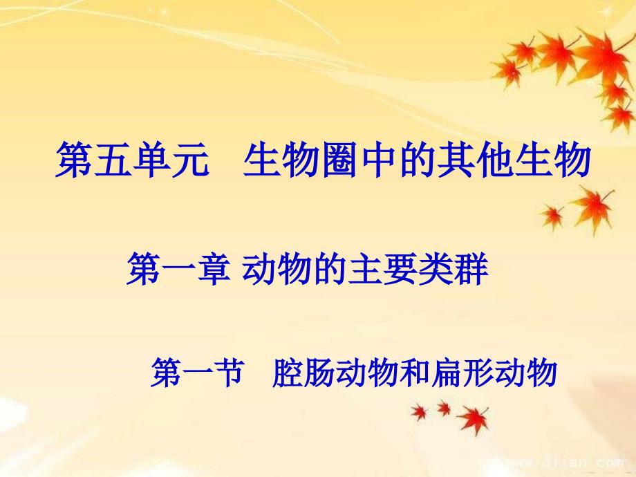 《扁形动物》课件_第1页