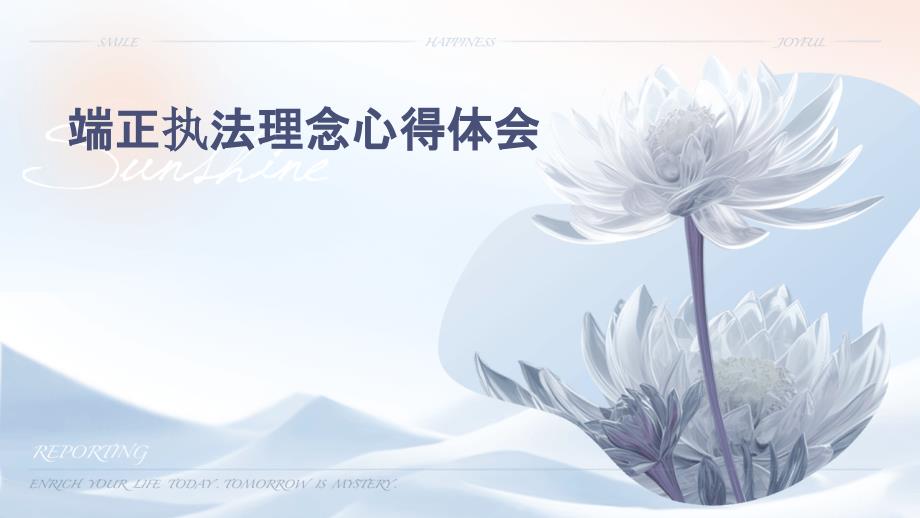 端正执法理念心得体会PPT演稿_第1页