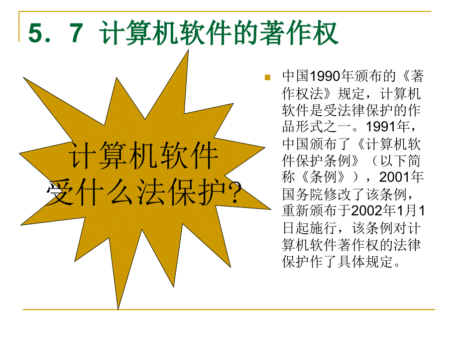 著作权(计算机软件)、其他知识产权_第1页