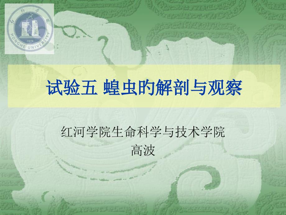 蝗虫的解剖和观察_第1页