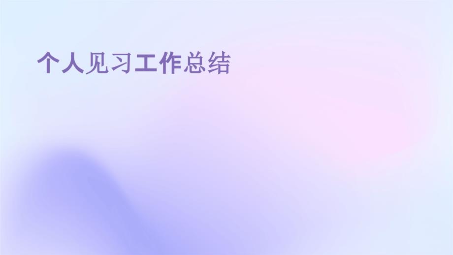 个人见习工作总结PPT演稿_第1页