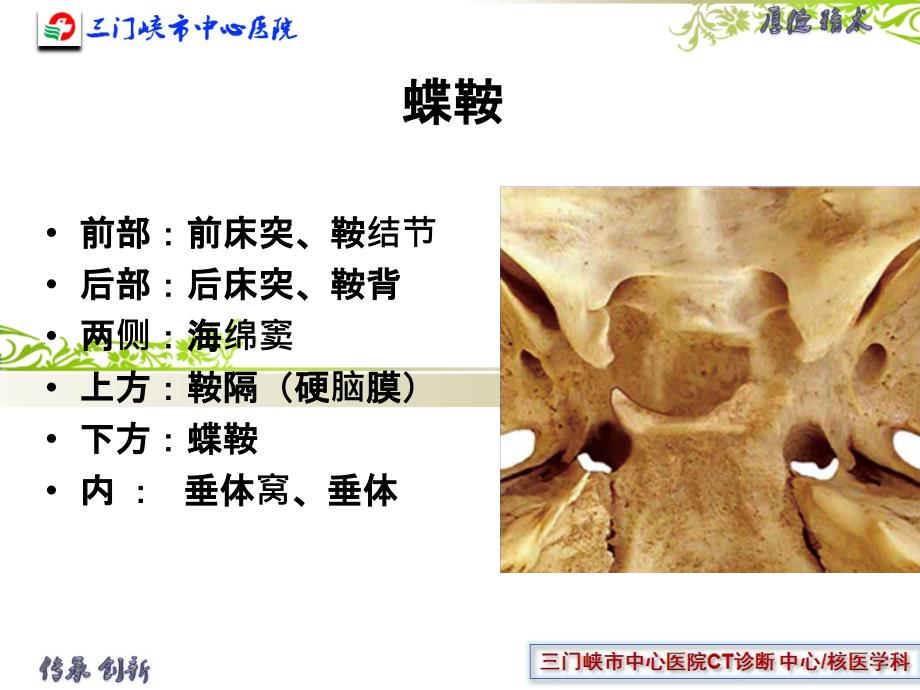 垂体解剖及垂体瘤_第1页