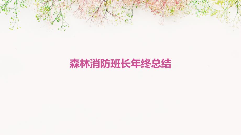 森林消防班长年终总结_第1页