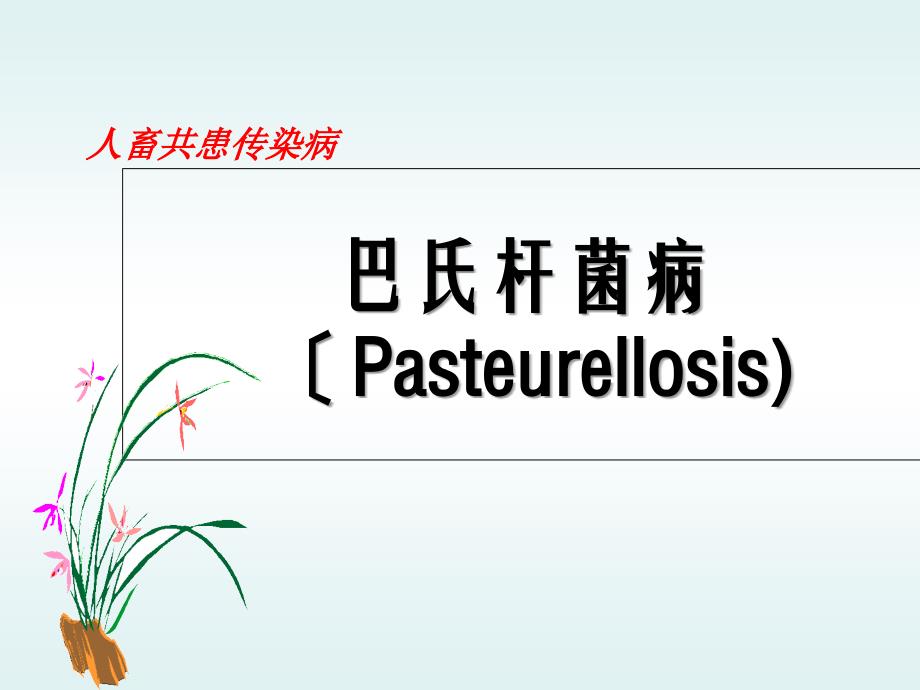 巴氏杆菌课件_第1页
