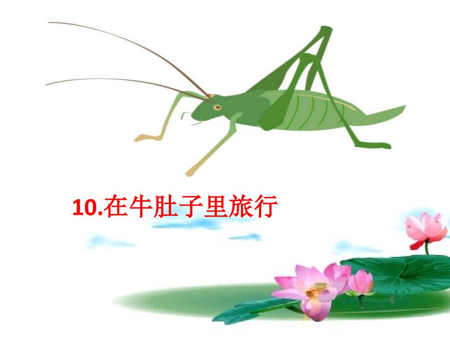 在牛肚子里旅行_第1页