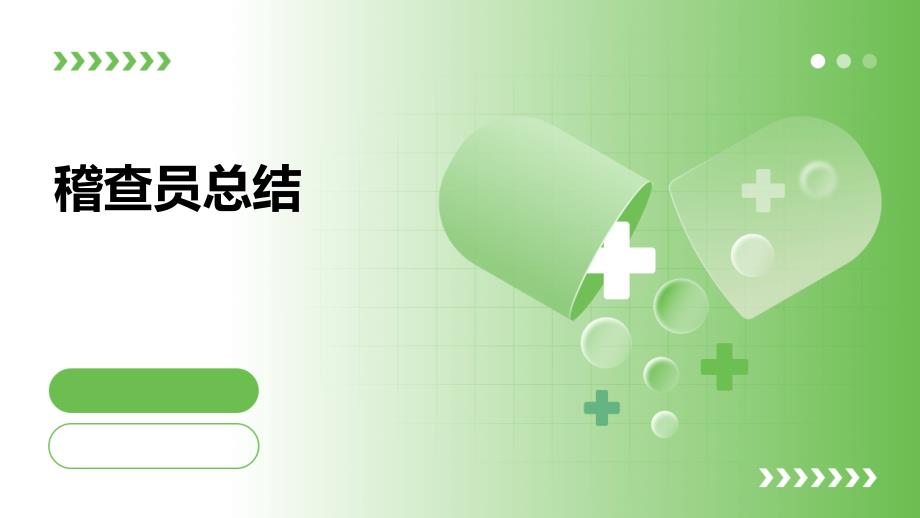 稽查员总结PPT演稿_第1页