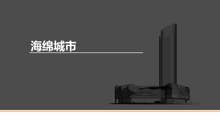 海绵城市总结_第1页