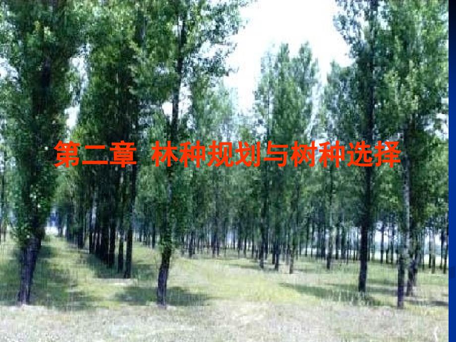 林种规划和树种选择_第1页