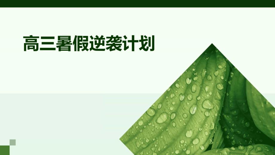 高三暑假逆袭计划_第1页