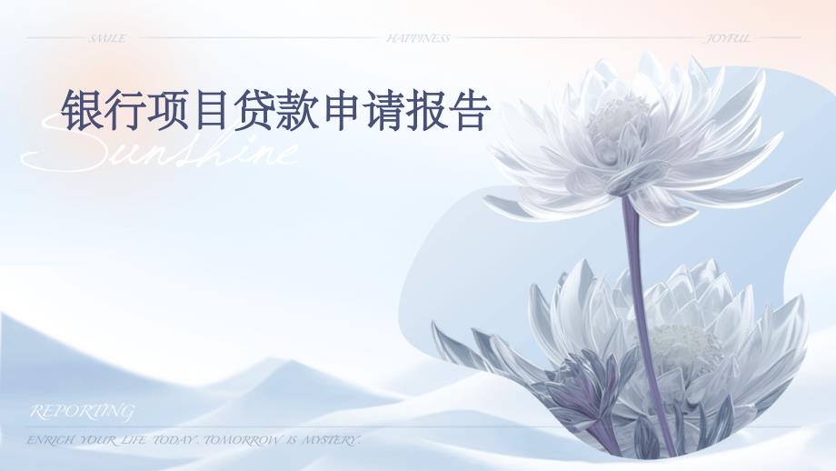 银行项目贷款申请报告_第1页