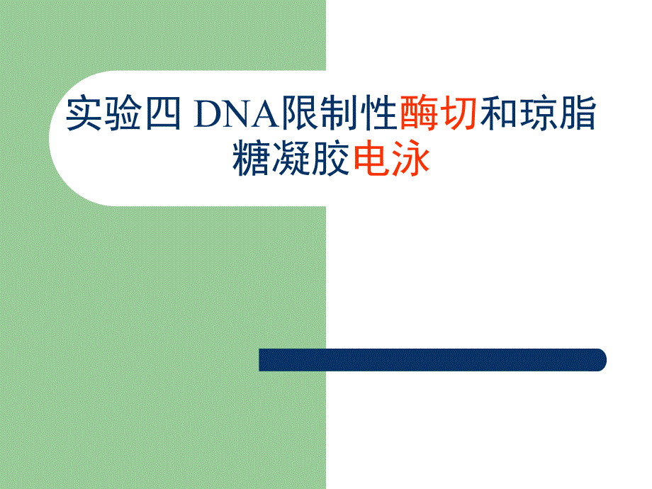 实验四DNA限制性酶切和琼脂糖凝胶电泳_第1页