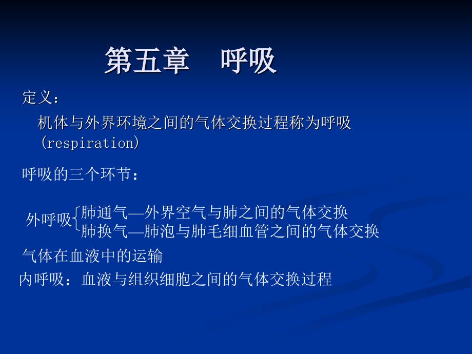 机体与外界环境之间的气体交换过程称为呼吸respira_第1页
