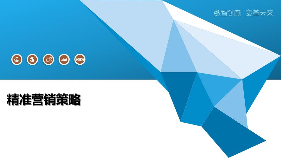 精准营销策略-全面剖析_第1页