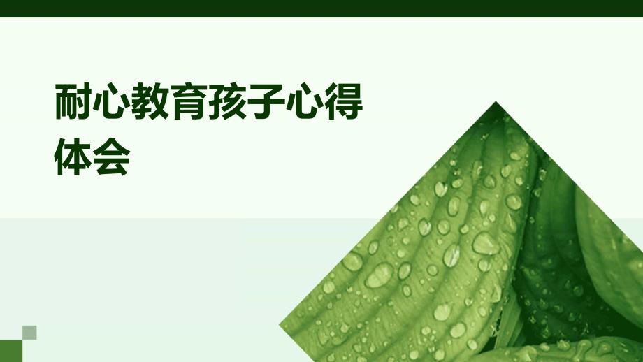 耐心教育孩子心得体会_第1页
