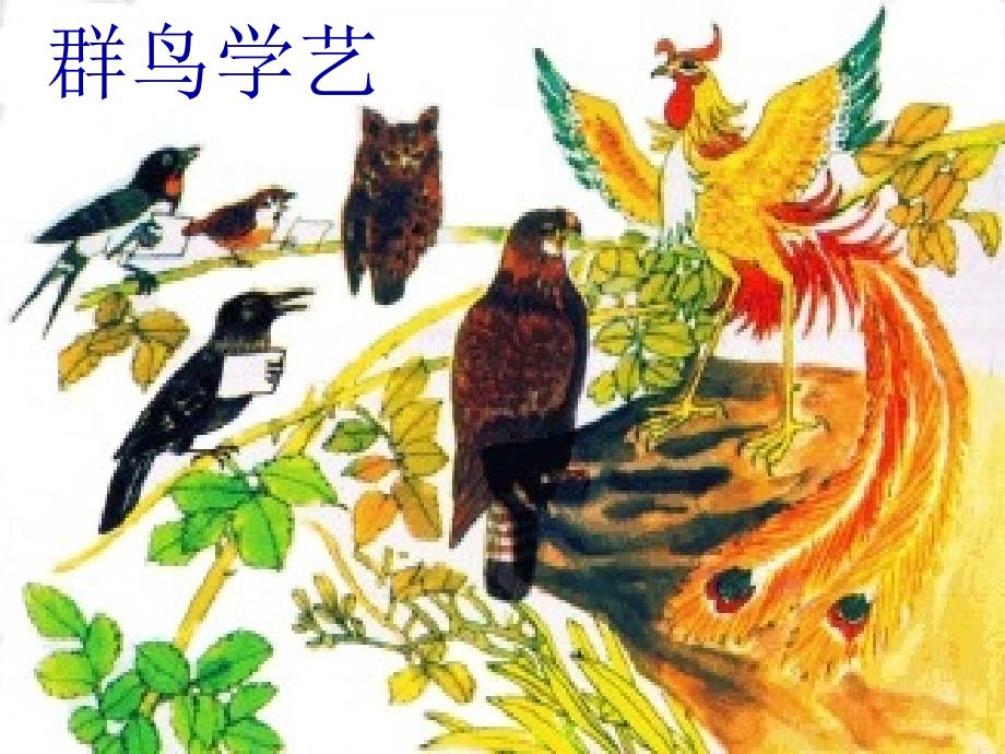 群鸟学艺课件_第1页