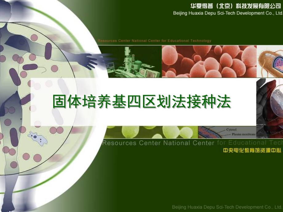 固体培养基四区划法接种法_第1页
