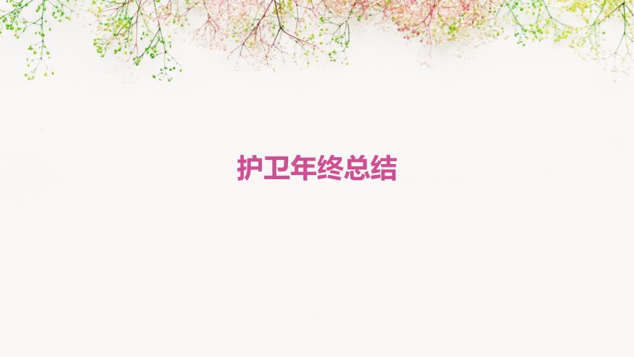 护卫年终总结_第1页