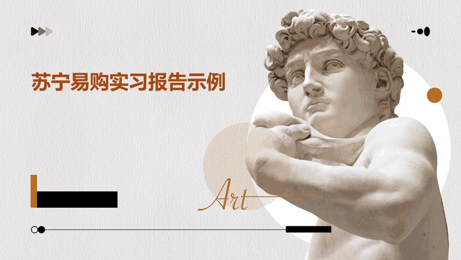 苏宁易购实习报告示例ppt_第1页