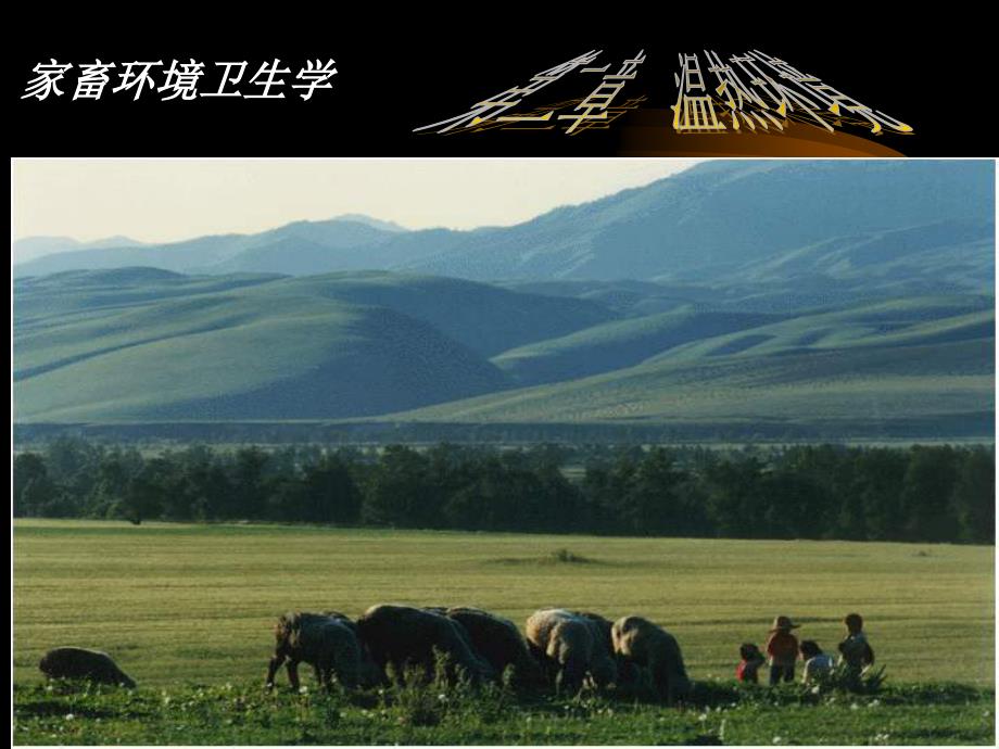第二章温热环境_第1页