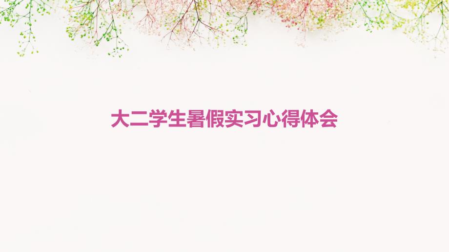 大二学生暑假实习心得体会ppt_第1页