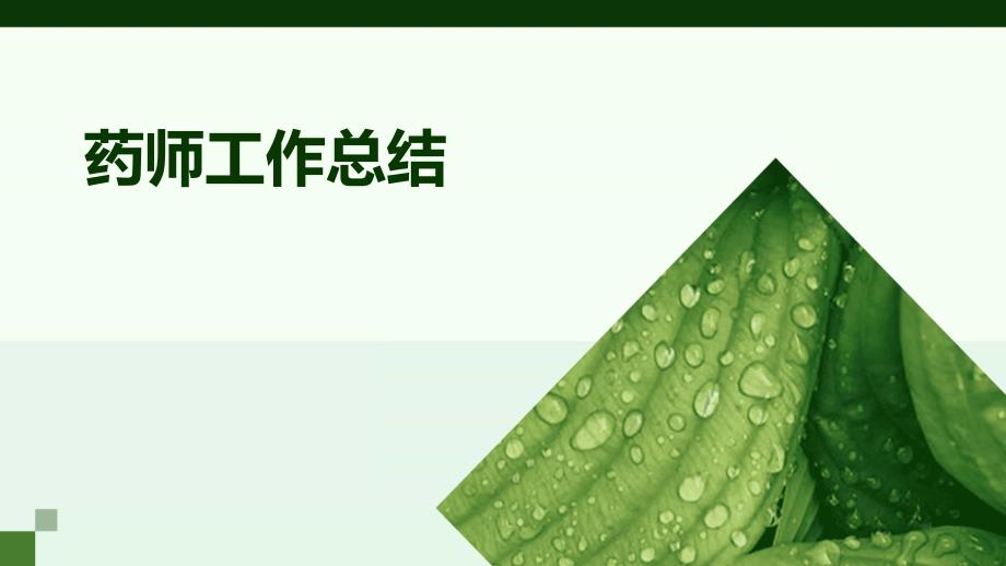 药师工作总结ppt_第1页